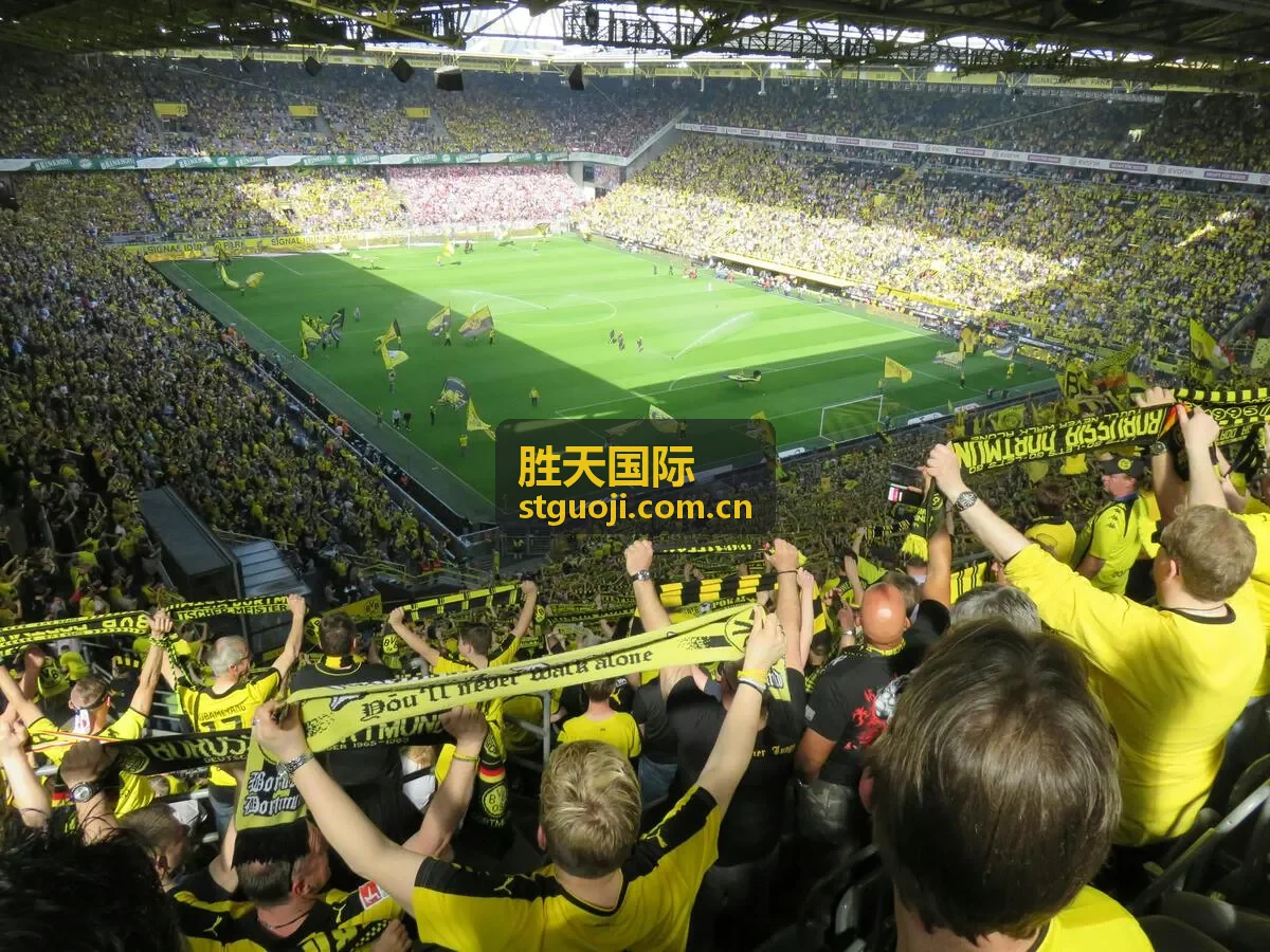 胜天国际跨境市场进入策略